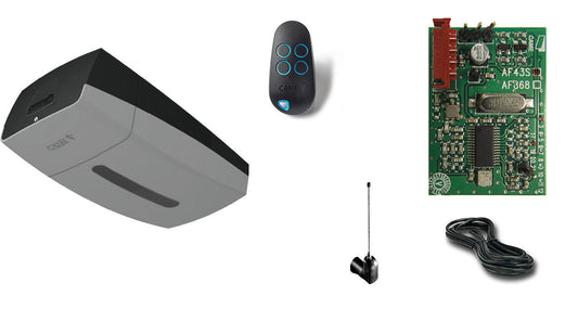 Kit automatizare usa garaj CAME 8K01MV-012, 24V DC